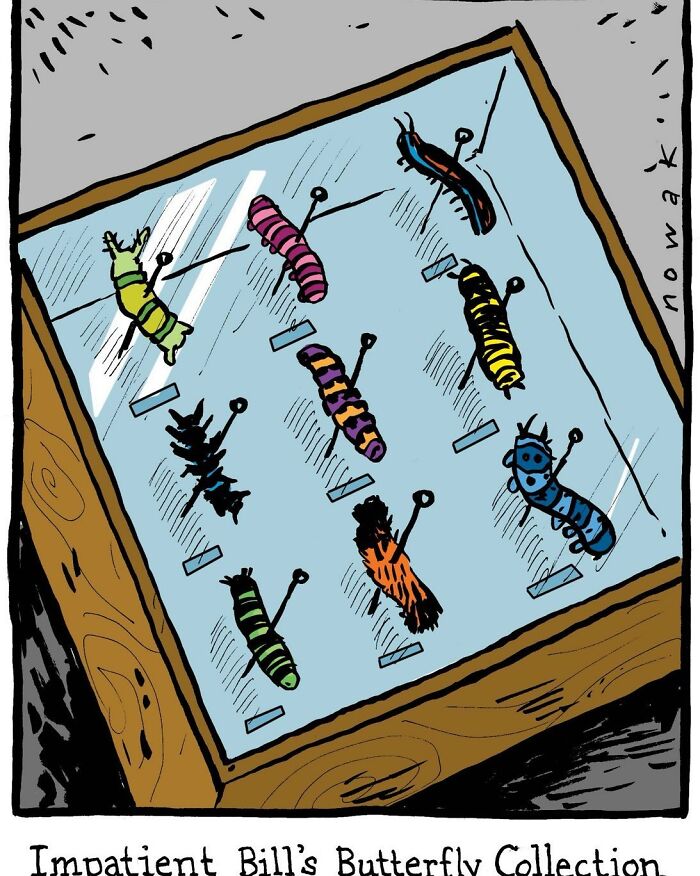 Single-panel comics by Joseph Novak: A collection of pinned caterpillars in a display case.