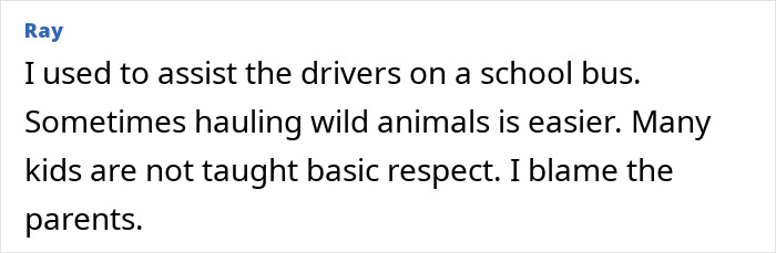 Ray's comment on assisting school bus drivers, noting kids lack basic respect; blaming parents for the school bus incident. Ray's comment on assisting school bus drivers, noting kids lack basic respect; blaming parents for the school bus incident.