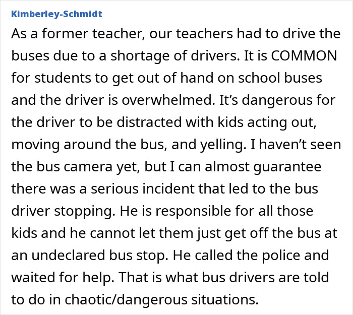 A former teacher's detailed comment on overwhelmed school bus drivers and children's behavior leading to incidents. A former teacher's detailed comment on overwhelmed school bus drivers and children's behavior leading to incidents.
