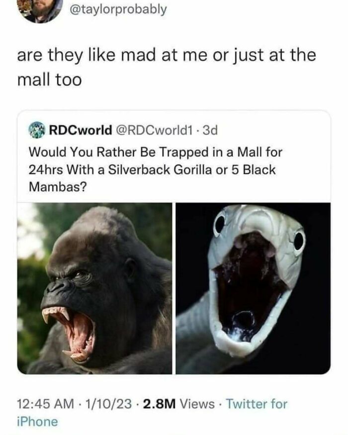 A funny meme about being trapped in a mall with a silverback gorilla or black mambas.