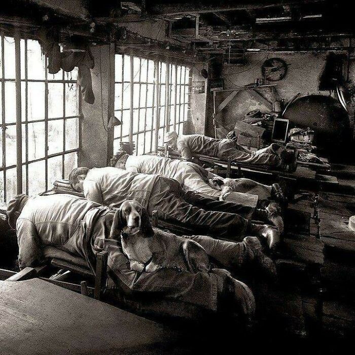 A sepia-toned image of a factory floor with workers and a dog resting on benches, depicting historical moments.