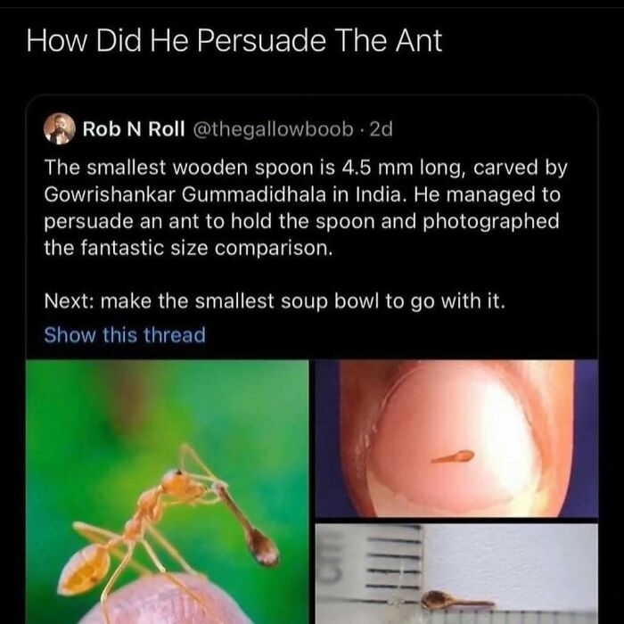 A funny meme showing an ant holding a tiny spoon, a great example of funny science comparison.