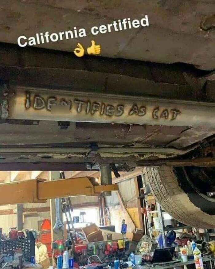 Funny cars meme featuring a car's undercarriage with 'IDENTIFIES AS CAT' welded on the exhaust pipe, labeled 'California certified'.