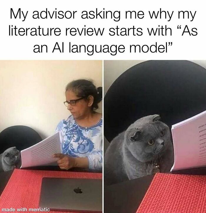 A PhD student's advisor looks critically at a literature review, next to a cat representing the student's reaction. A relatable PhD meme.