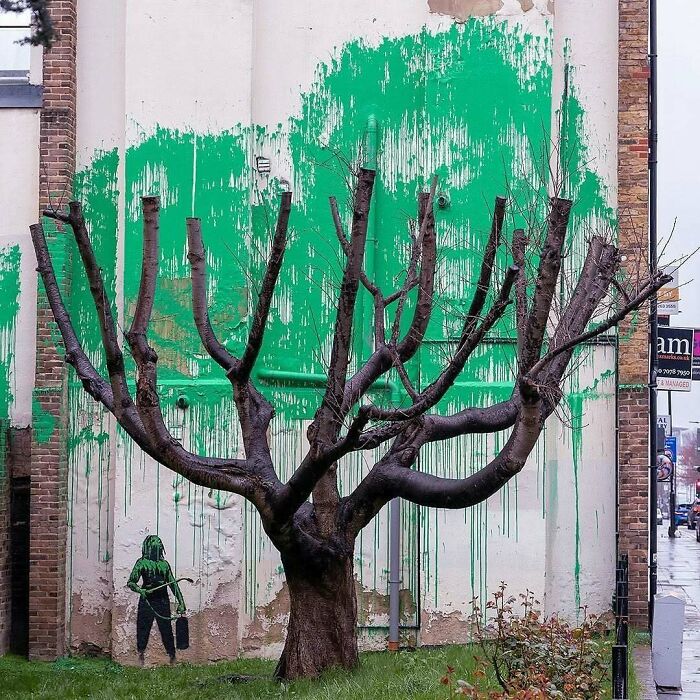 Brilliant and beautiful design: A tree with bare branches against a white wall with green paint dripping, resembling leaves.