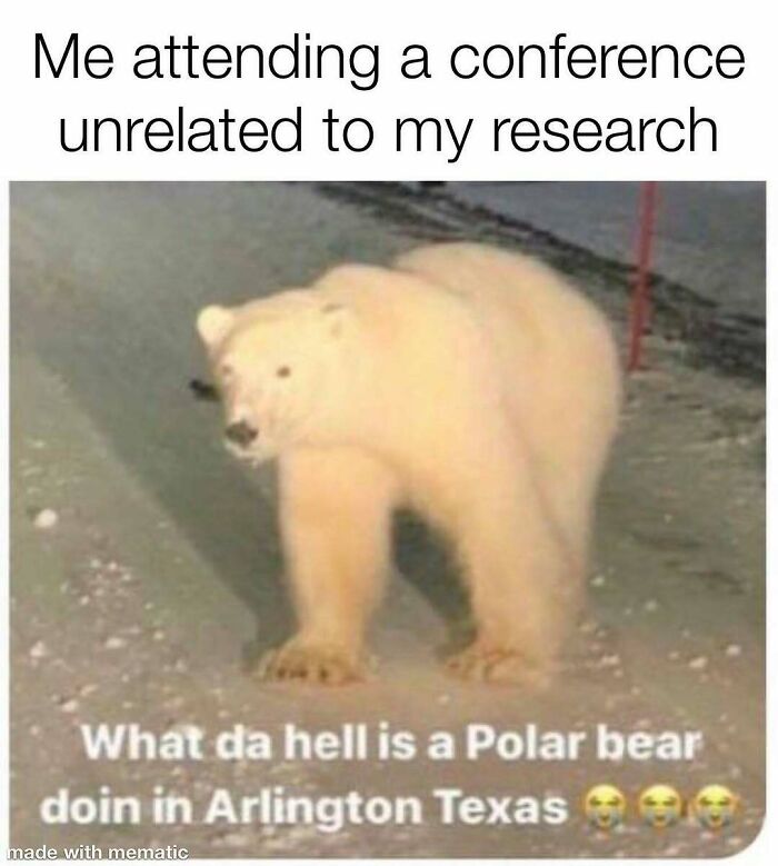 A polar bear in Arlington, Texas, represents a PhD student at an irrelevant conference. A funny PhD meme.