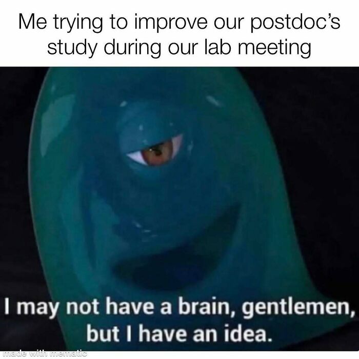 A PhD meme with a green blob saying, I may not have a brain, gentlemen, but I have an idea, during a lab meeting.