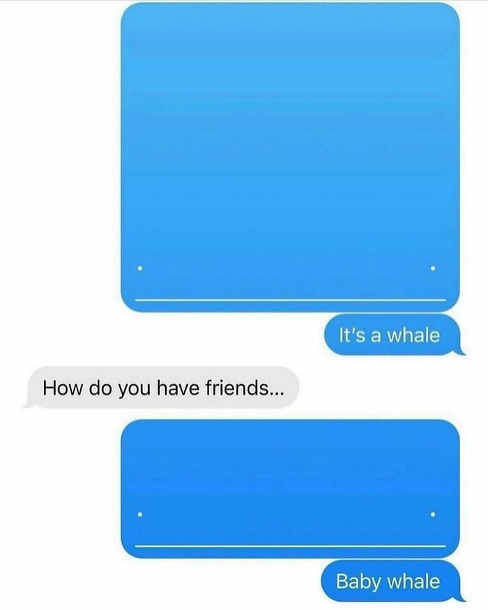 An adorable animal meme showing a text message conversation with a person sending blank blue bubbles, then saying 'It's a whale' and 'Baby whale'.