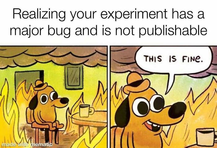 A PhD student meme depicting a dog in a burning room saying 'THIS IS FINE,' representing a major bug in an experiment and thesis not publishable.