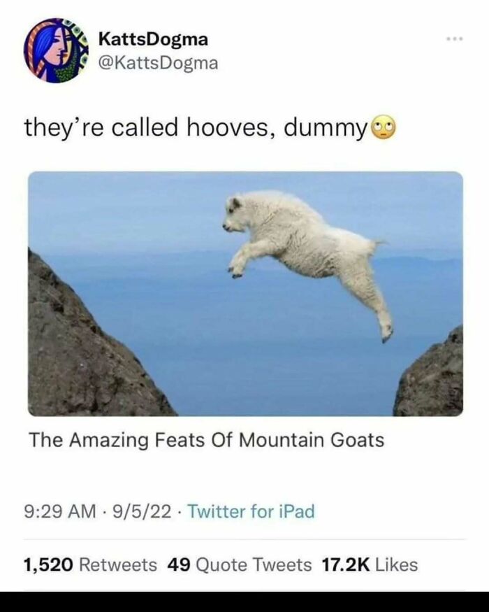 A funny science meme of a mountain goat leaping between cliffs, with text about hooves.