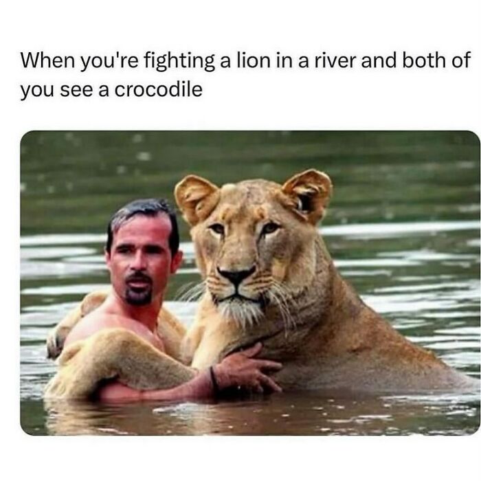 A man and a lion hugging in a river, both looking scared. A funny animal meme.