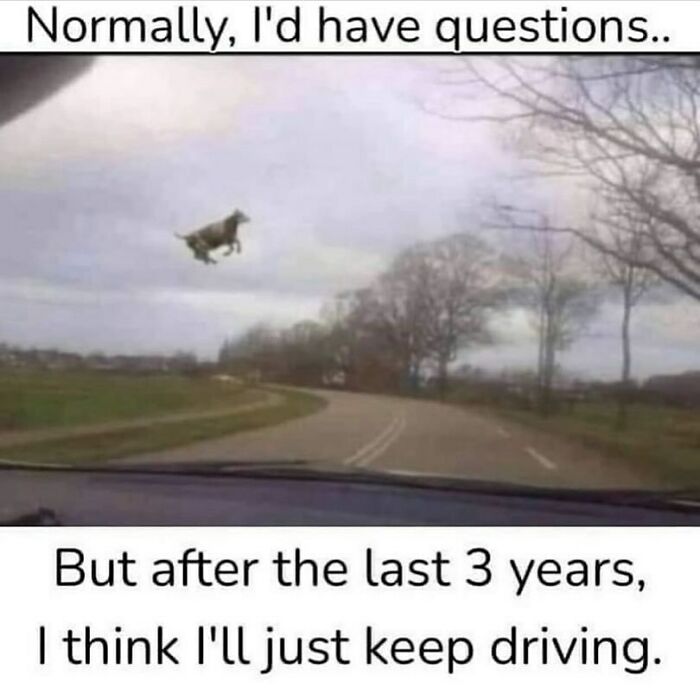 An animal meme depicting a goat mid-air over a road in the countryside, with the text Normally, I'd have questions... But after the last 3 years, I think I'll just keep driving.