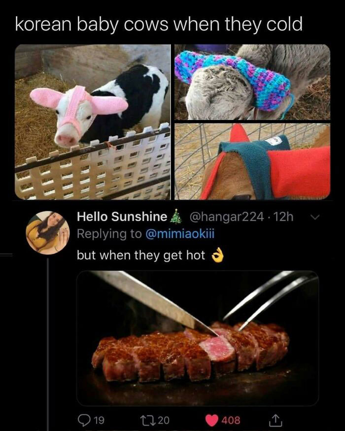 A creative and cursed comment about baby cows being cute when cold, but then shown as steak when hot.