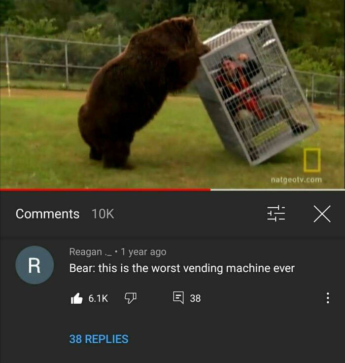 A large bear pushing a cage with a person inside, featuring a cursed comment calling it the worst vending machine ever.