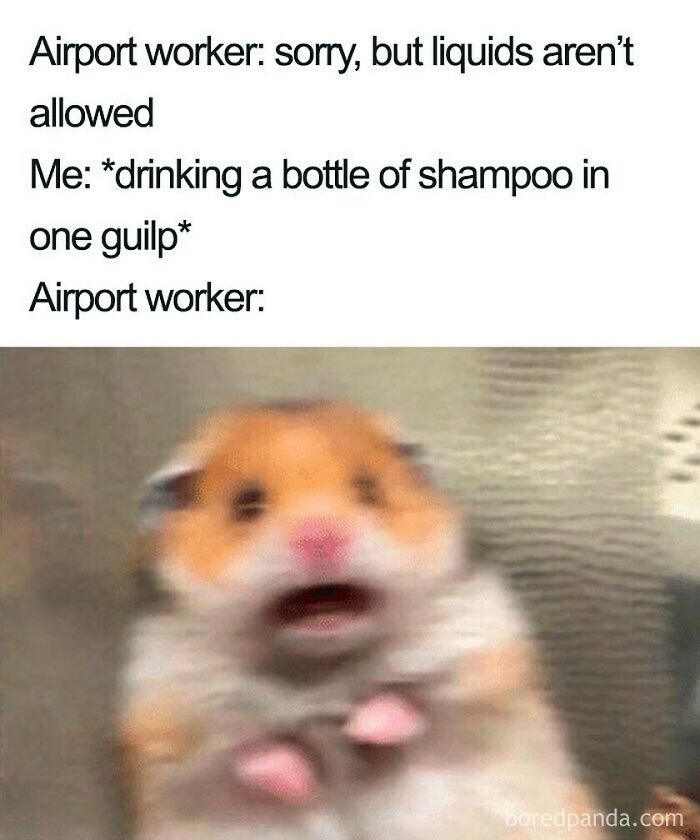 A hamster looking shocked, representing an airport worker's reaction to drinking shampoo, a funny travel meme.