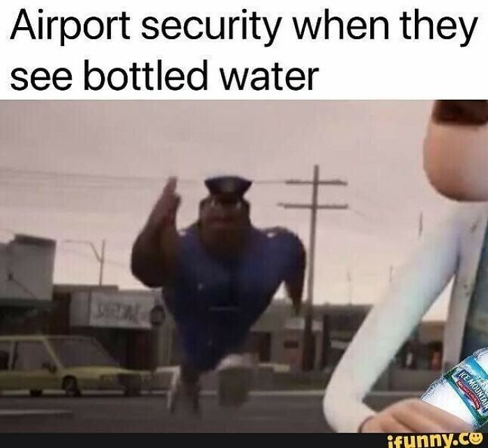 Animated airport security chasing someone with bottled water, a hilarious travel meme about airport rules.