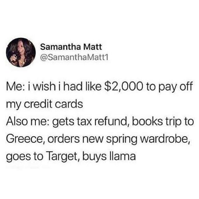 A funny travel meme about using a tax refund for a vacay abroad, buying a llama, instead of paying off credit cards.