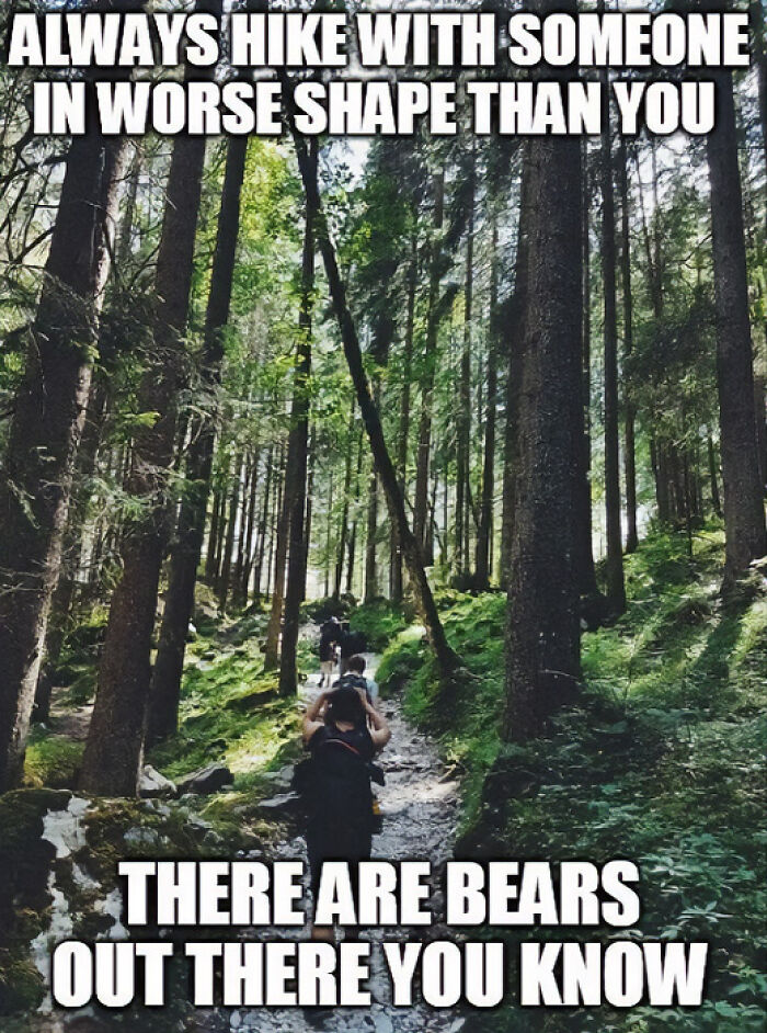 A travel meme with a forest image, advising to hike with someone in worse shape in case of bears, for your vacay abroad.