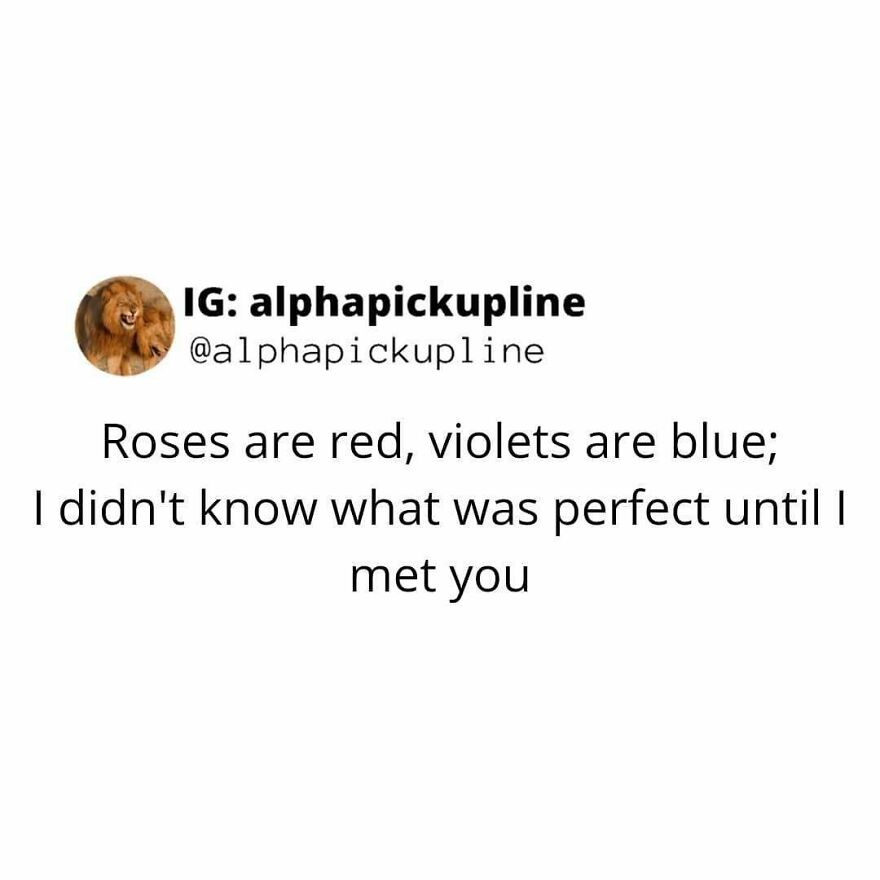 A white background with an IG handle and the smooth pick up line: Roses are red, violets are blue; I didn't know what was perfect until I met you.