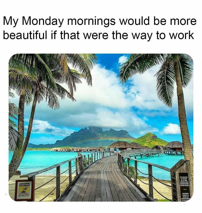 A beautiful view of a wooden pier leading to overwater bungalows with palm trees, a rainbow, and mountains in the background, perfect travel memes.