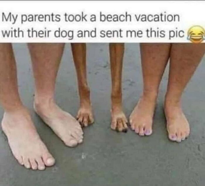 A humorous travel meme showing human and dog feet on a beach, enjoying a vacay abroad.
