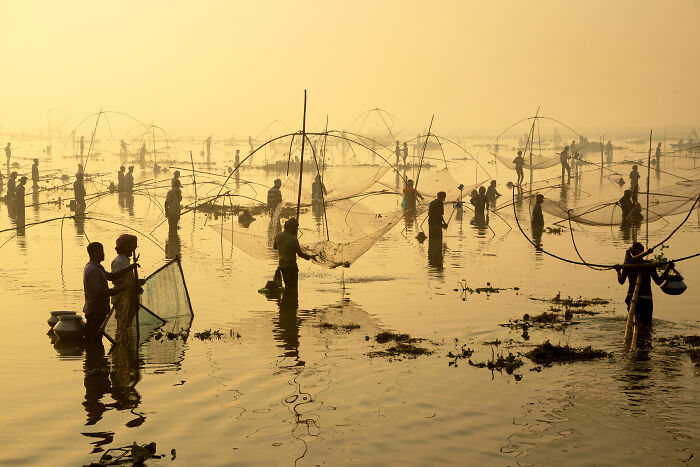 Open Color, Honorable Mention: Catch Of The Day By Joy Saha