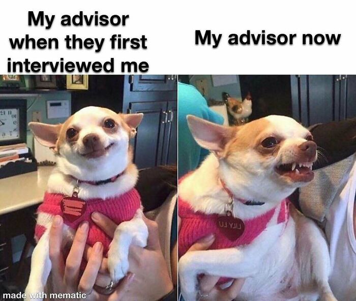 A PhD meme with two images of a chihuahua; first smiling, then snarling, representing an advisor's change.