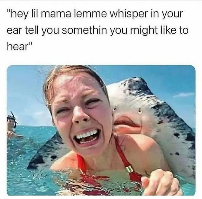 A scared woman in the water with a shark-like creature behind her, illustrating a 'Meme Queen' post.