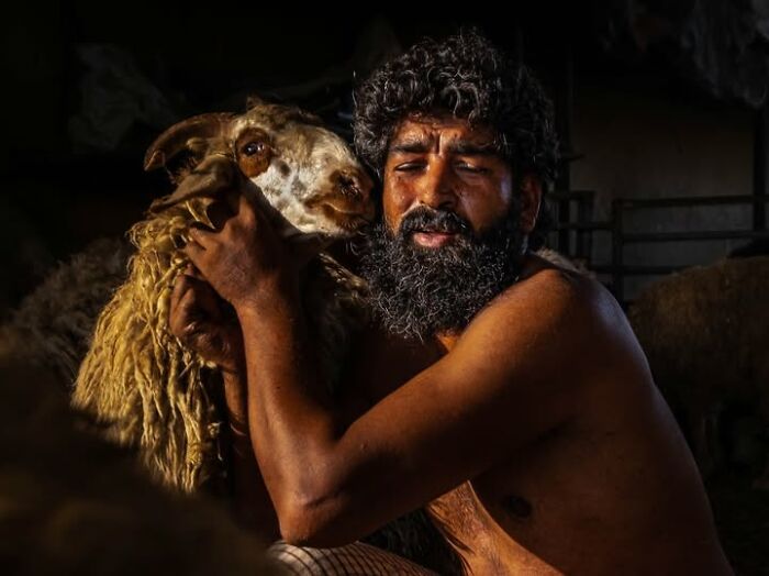 Remarkable photograph by Tittu Shaji Thomas of a man embracing a sheep, capturing life across cultures.