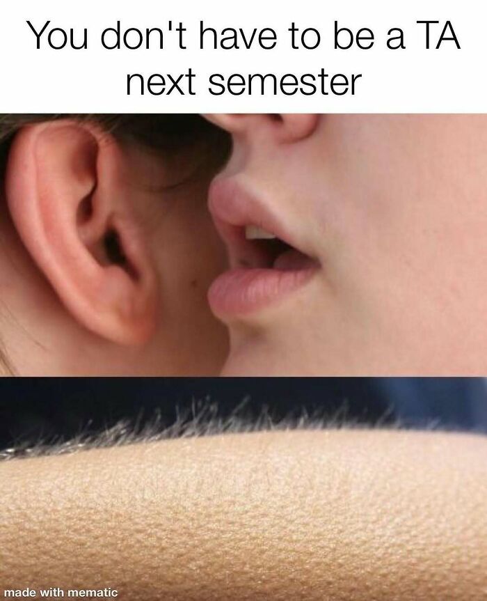 A PhD meme showing a close-up of a person whispering into an ear, causing goosebumps on an arm, about not being a TA.