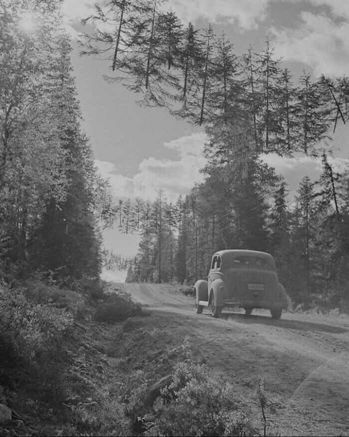 A car drives on a dirt road through a forest with trees appearing to arch over the road, a moment nearly lost to history.