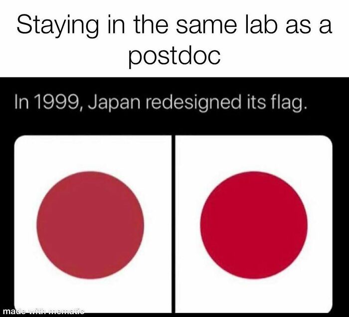A PhD meme showing the Japanese flag before and after its redesign in 1999, with minimal changes. The meme's caption, 'Staying in the same lab as a postdoc,' humorously reflects the feeling of stagnation or lack of change in a postdoc's career. This is a common PhD meme.