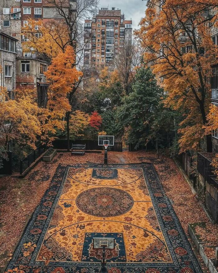 A basketball court covered with a brilliant and beautiful rug design surrounded by autumn trees.