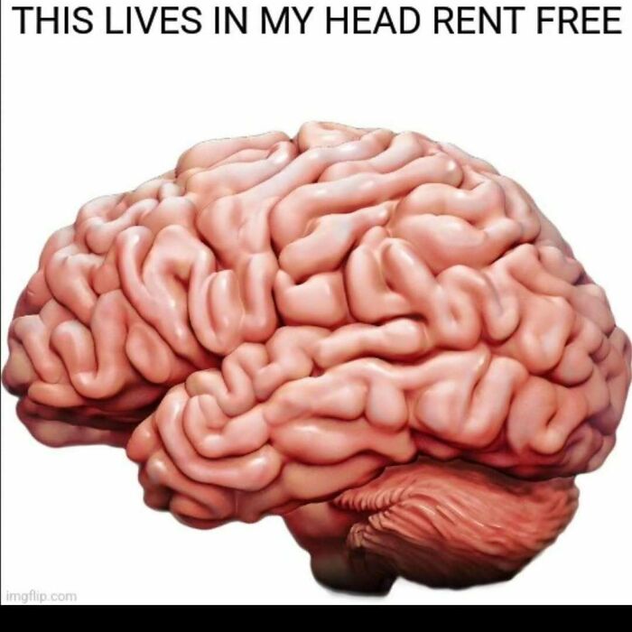 An image of a human brain with text saying This lives in my head rent free, a funny science meme.