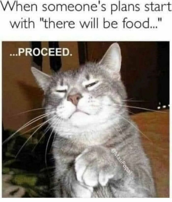 A cat with a satisfied expression, eyes closed, and paws together. A funny animal meme.