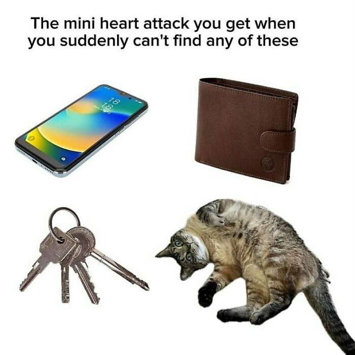 An adorable animal meme displaying a phone, wallet, keys, and a cat rolling on its back, illustrating the panic of losing them.