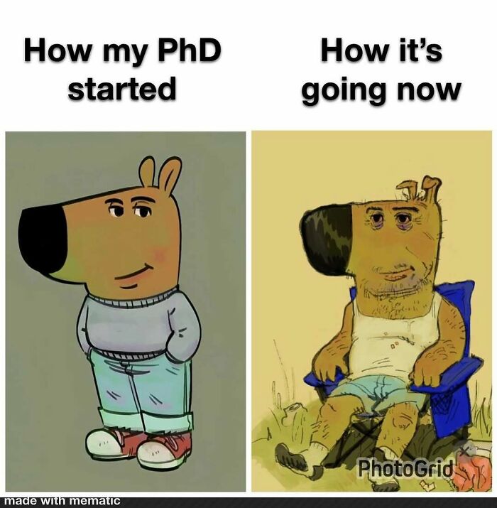 A PhD student meme showing a cheerful cartoon dog transforming into a stressed, disheveled one, depicting the start vs. current state of a PhD.