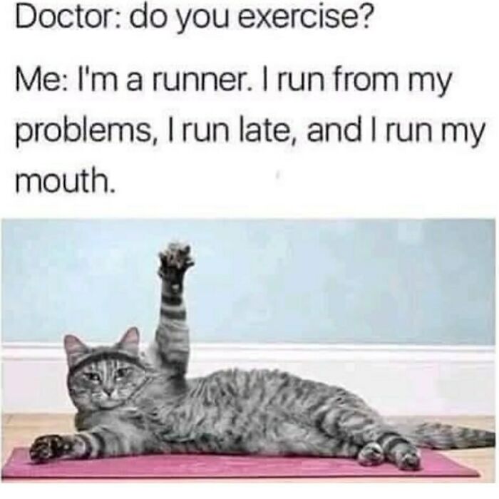 An adorable animal meme of a cat stretching on a yoga mat with text about exercise and running from problems.