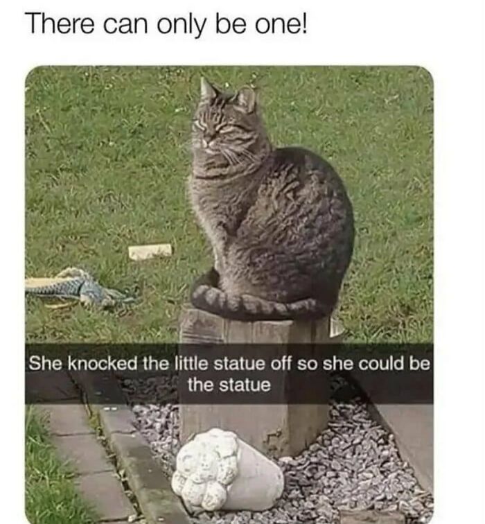 Funny animal meme of a cat sitting proudly on a pedestal, replacing a fallen statue, asserting dominance.