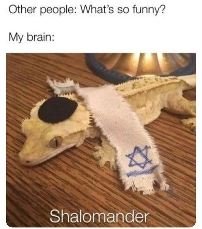 Funny animal meme of a gecko wearing a small kippah and a tallit, humorously captioned 'Shalomander'.