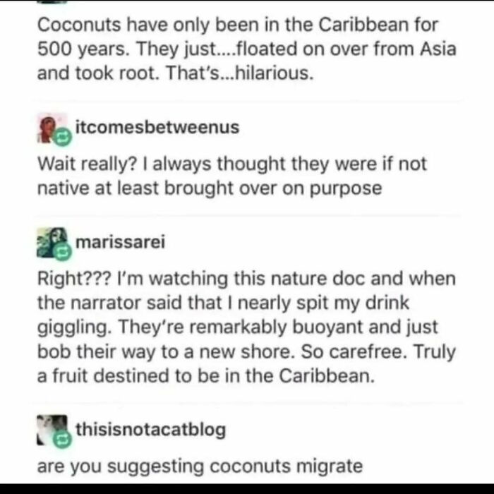 Funny science meme discussing coconuts migrating to the Caribbean, highlighting interesting science facts.