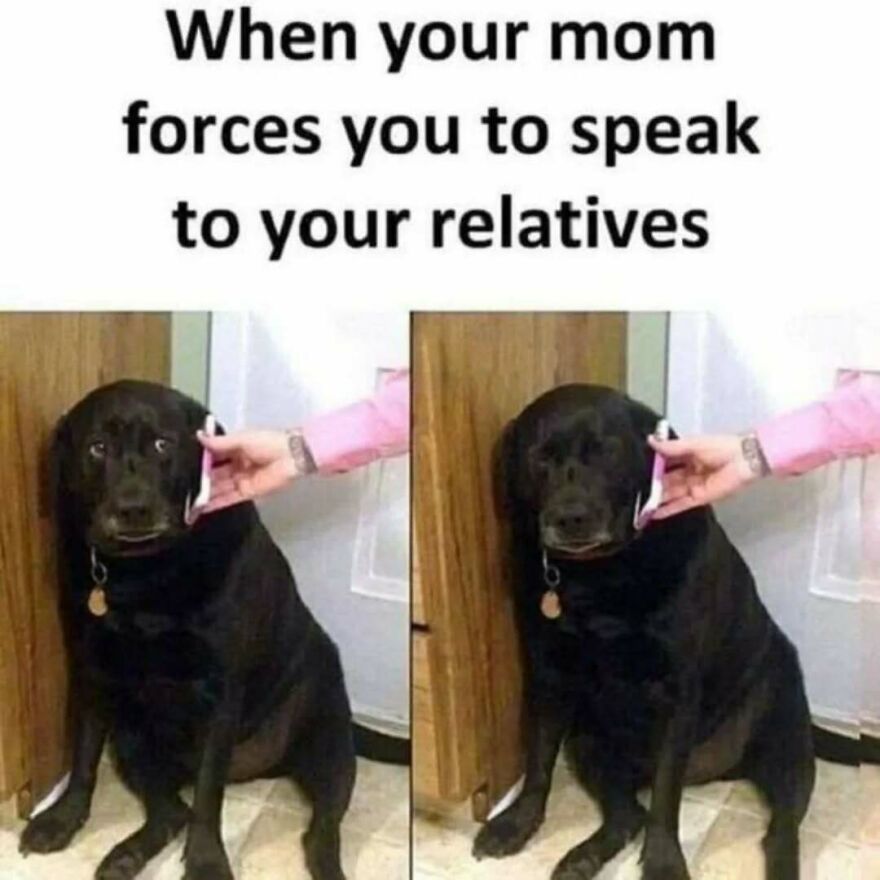 A silly and cute animal meme featuring a black Labrador dog looking uncomfortable while a hand holds a phone to its ear.