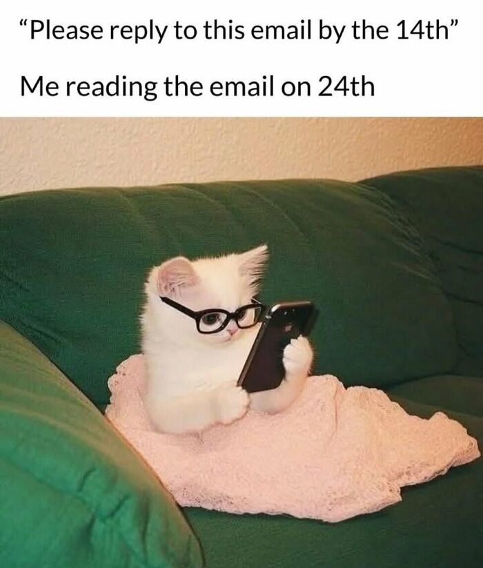 Funny animal meme of a white kitten wearing glasses and reading an email on a phone, representing late replies.