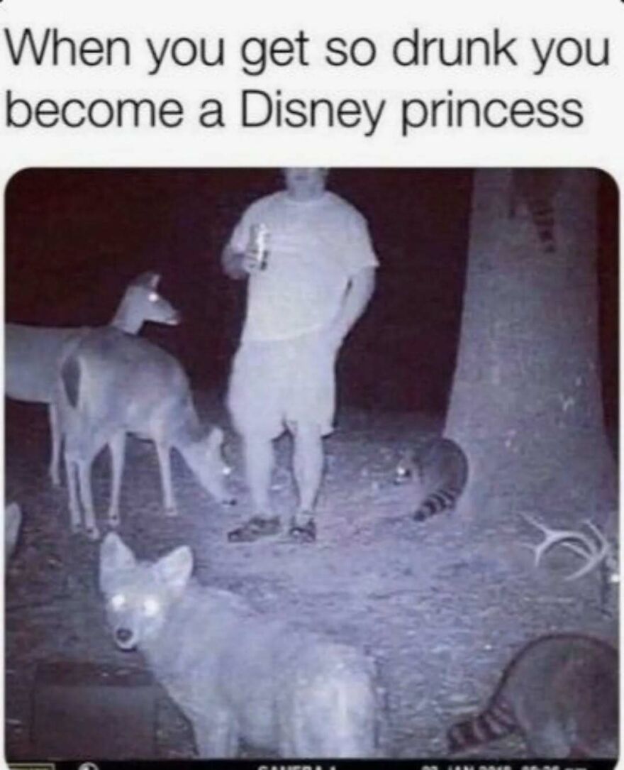 Man as a Disney princess, surrounded by deer and other cute animal memes in a night vision image.