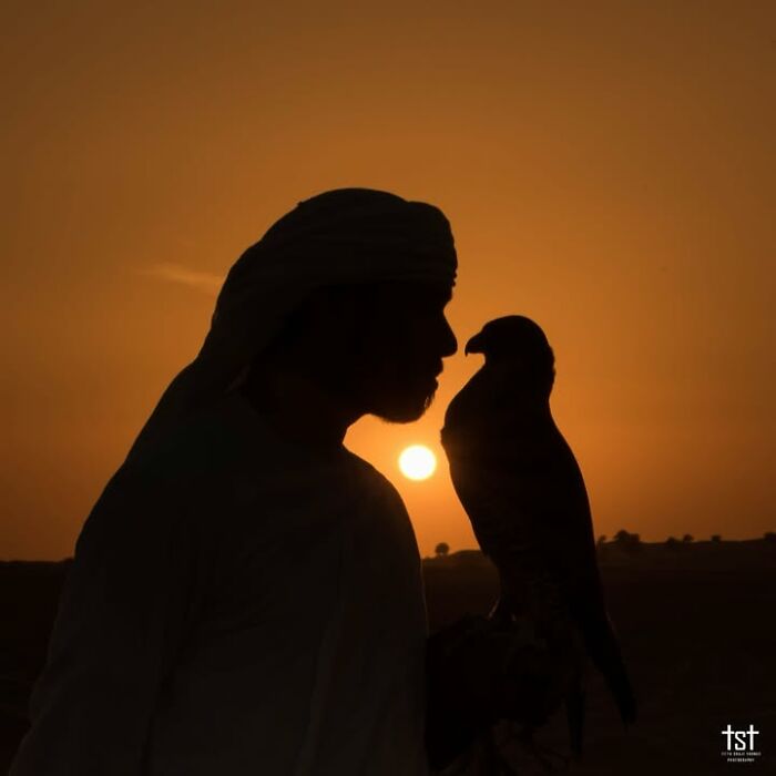 Remarkable photographs by Tittu Shaji Thomas capturing landscapes: a silhouetted man with a falcon at sunset.