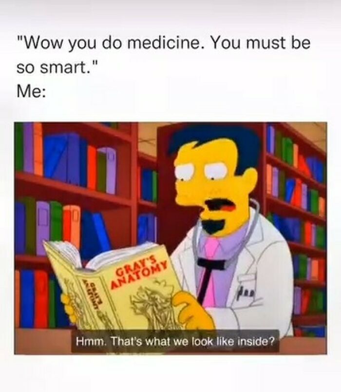 Funny medical meme from The Simpsons of a doctor reading Gray's Anatomy and wondering about internal body structure.