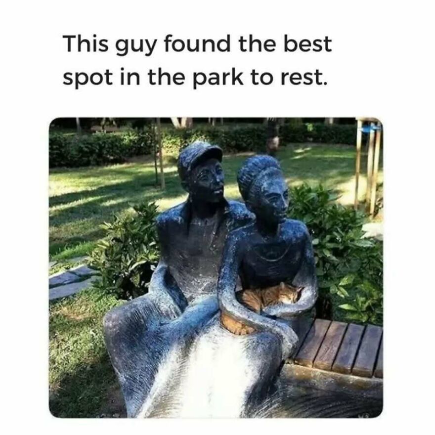 A silly and cute animal meme of a cat resting between two statues in a park.