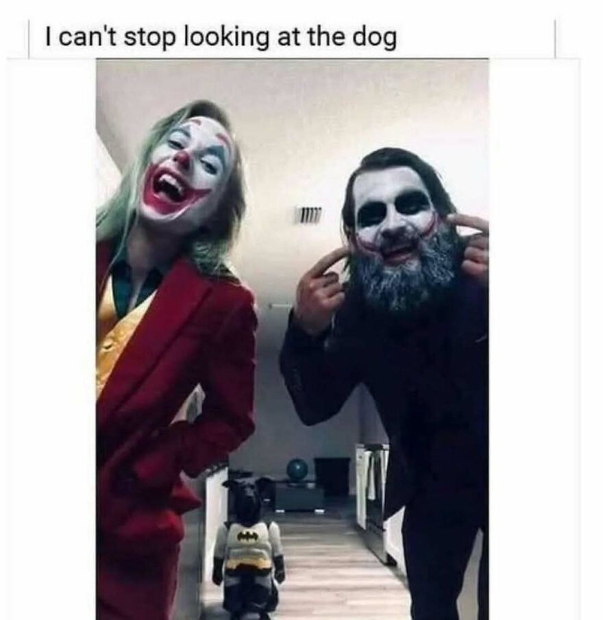 A silly and cute animal meme of two people dressed as Jokers with a dog in a Batman costume.
