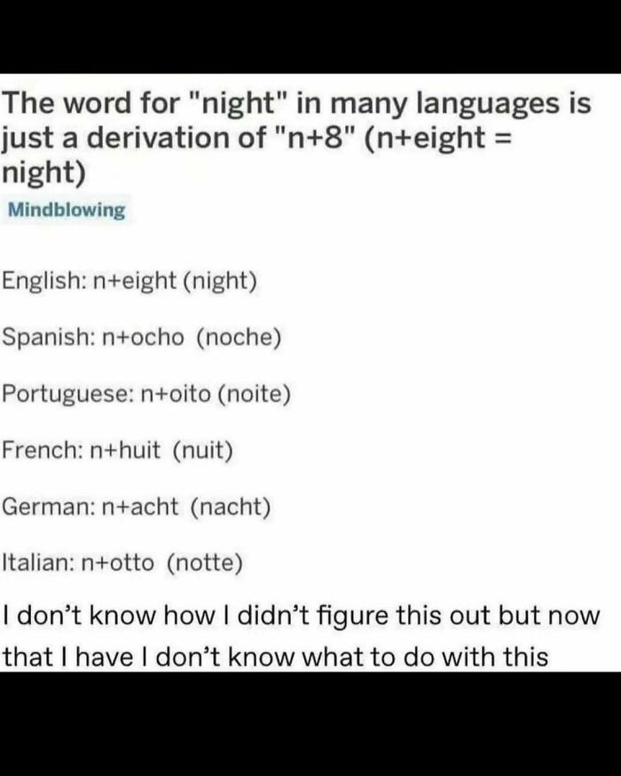 A funny meme explaining the etymology of the word night in various languages, highlighting funny memes.
