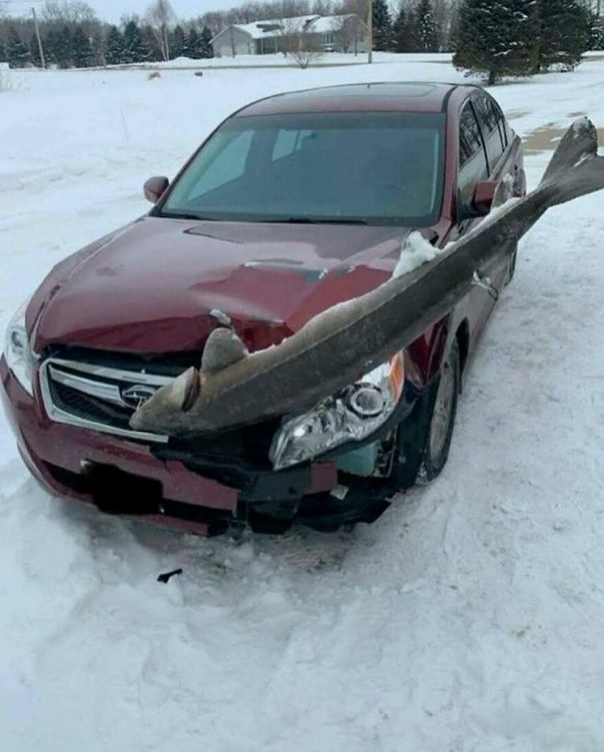 A cursed image of a large fish impaled through the front of a red car, stuck in the snow.